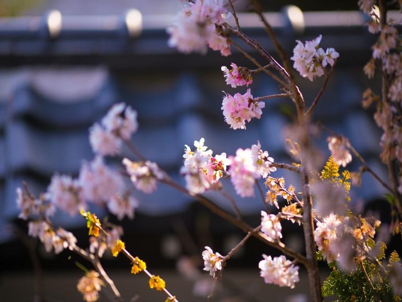 Motoyu Ryokan Atsugi Exterior foto