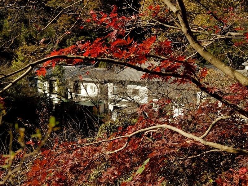 Motoyu Ryokan Atsugi Exterior foto