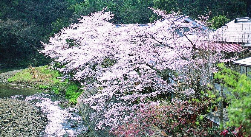 Motoyu Ryokan Atsugi Exterior foto
